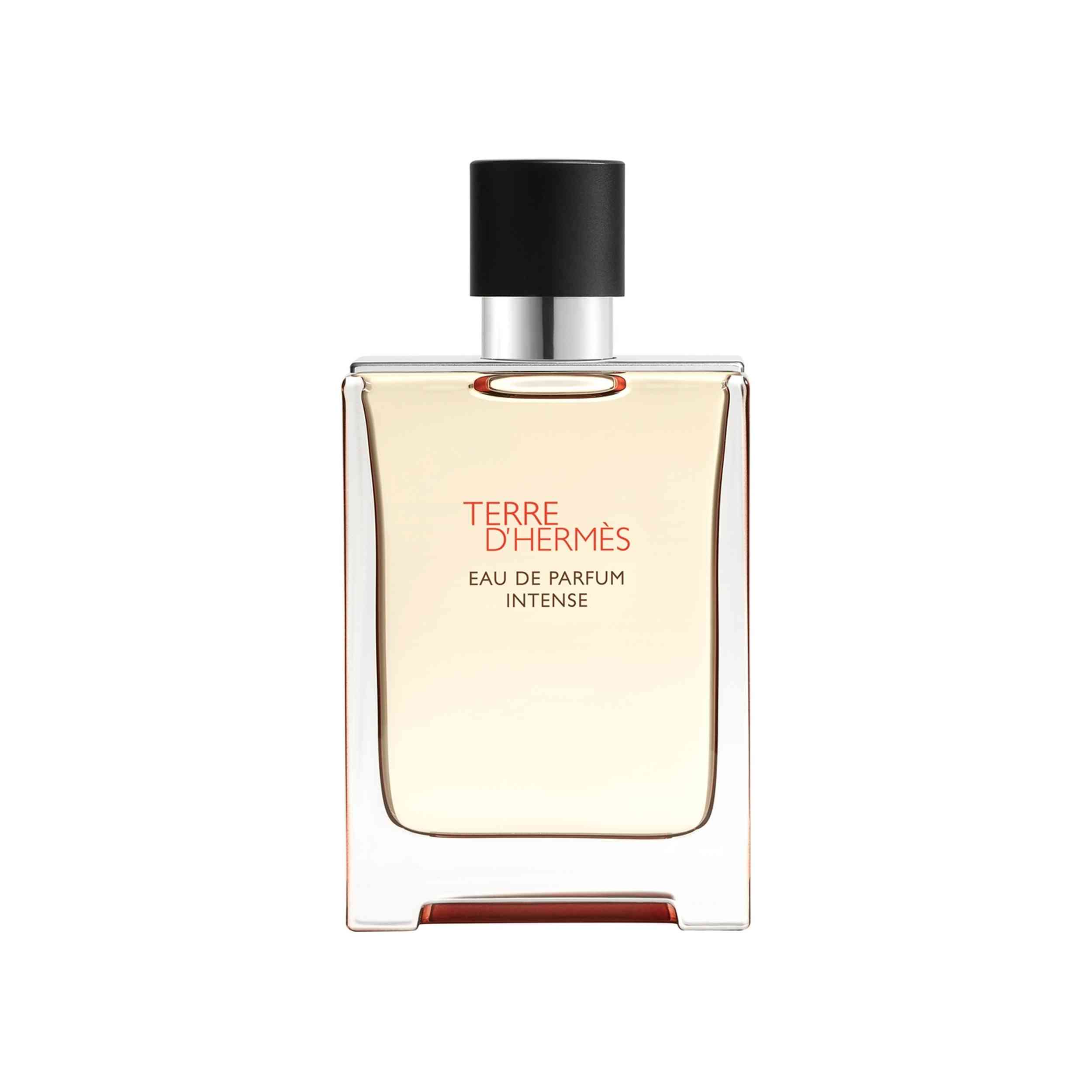 hermes Hermes Terre D Hermes 100 ml edp intense capacity: 100ml
