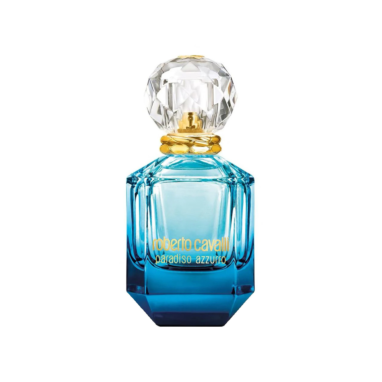 Roberto Cavalli Paradiso