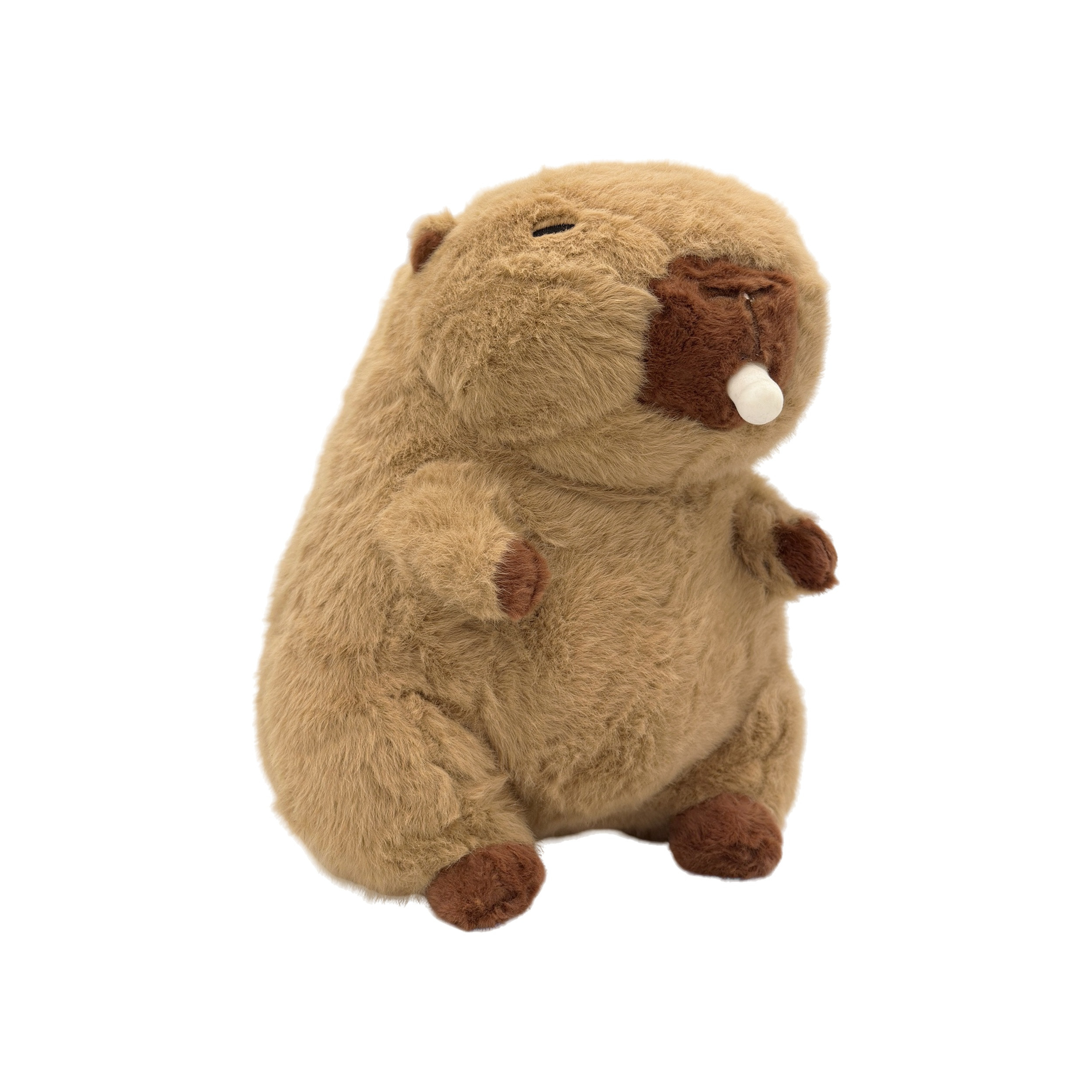Beaver with while tounge