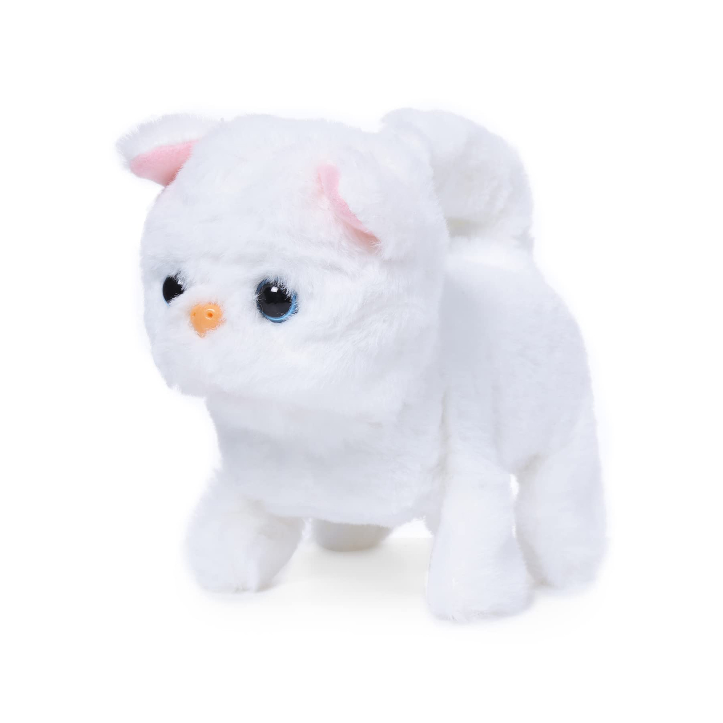CASPER WALKING CAT