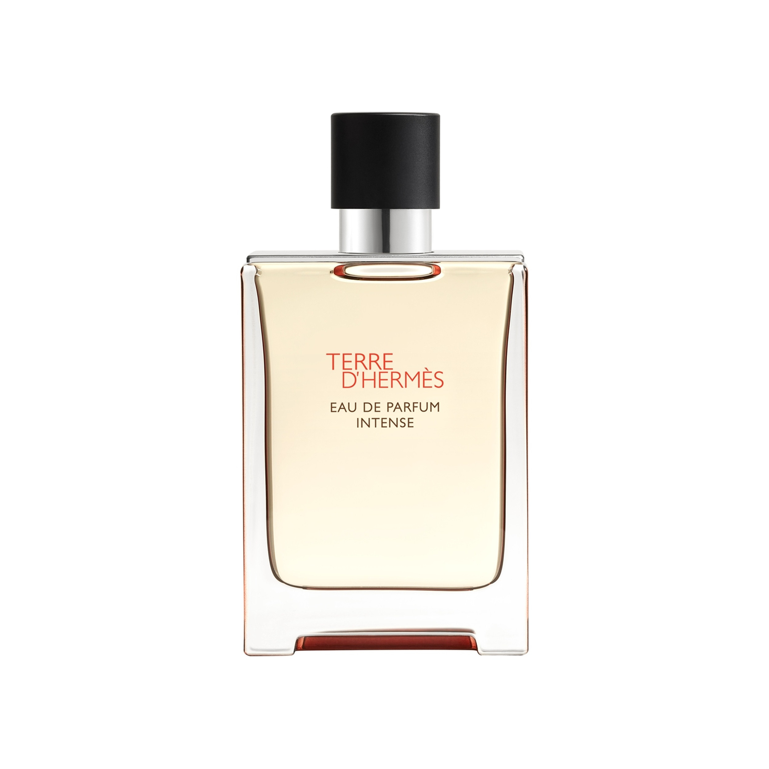 Hermes Terre D' Hermes