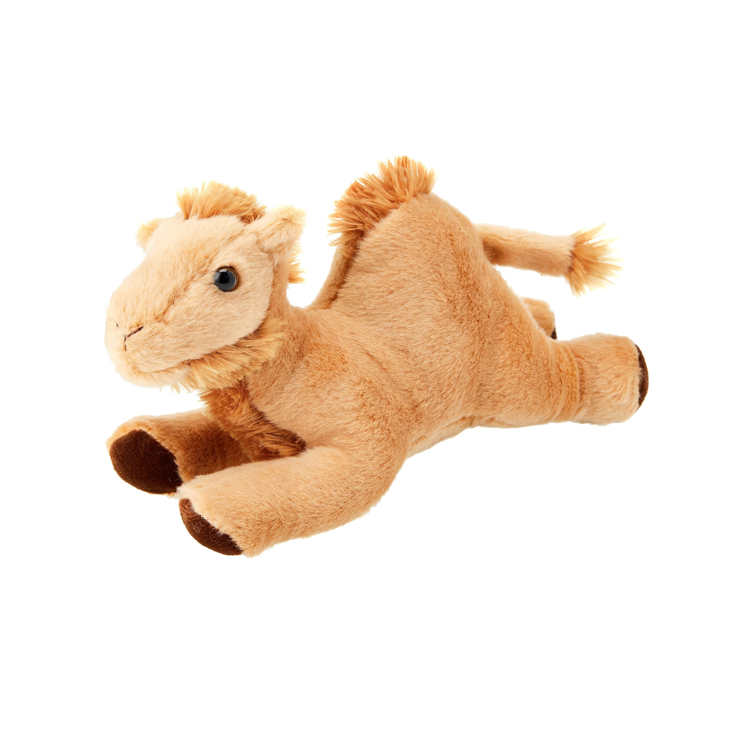 Aurora Toy